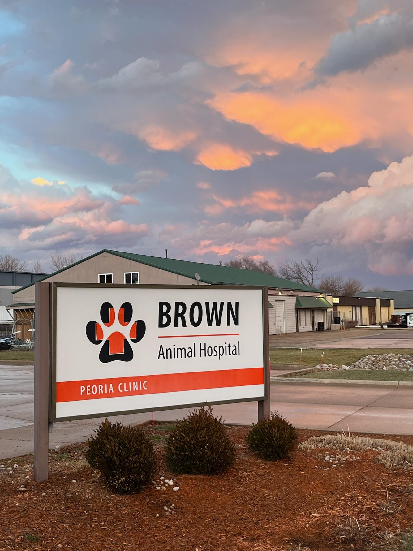 Brown Animal Hospital Signboard