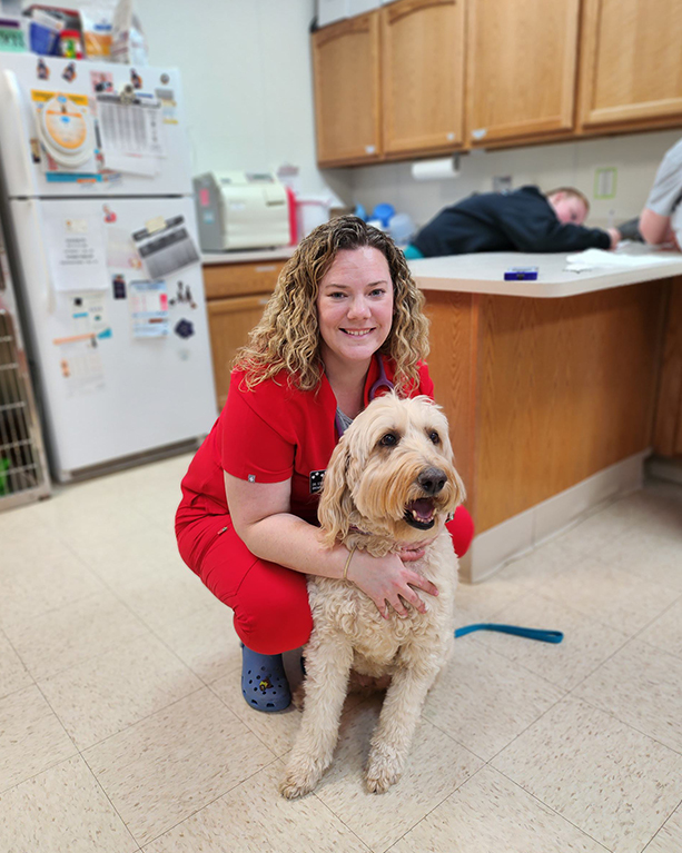 a vet beside a dog in a room