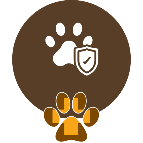 pet vaccination icon