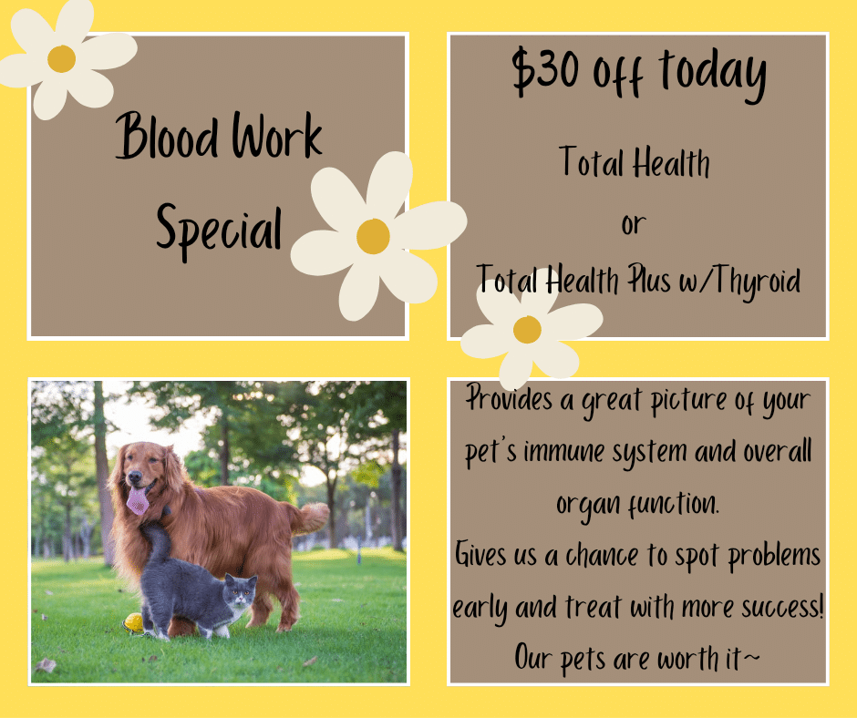 Blood Work special